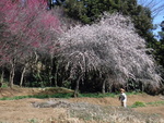 DSCF2527のコピー.jpg