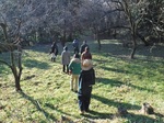 DSCF7120.jpg